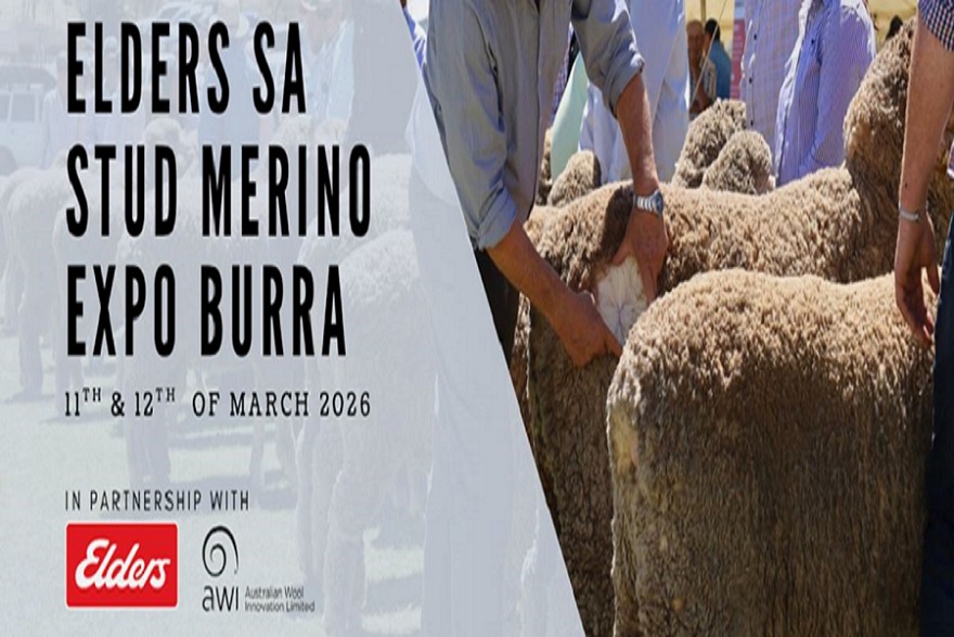  elders sa stud merino poster.JPG