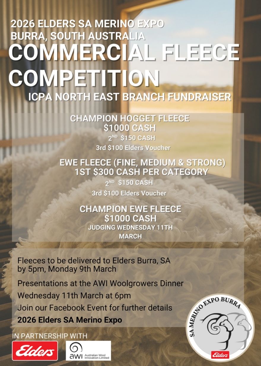 FLEECE COMPETITION.jpg