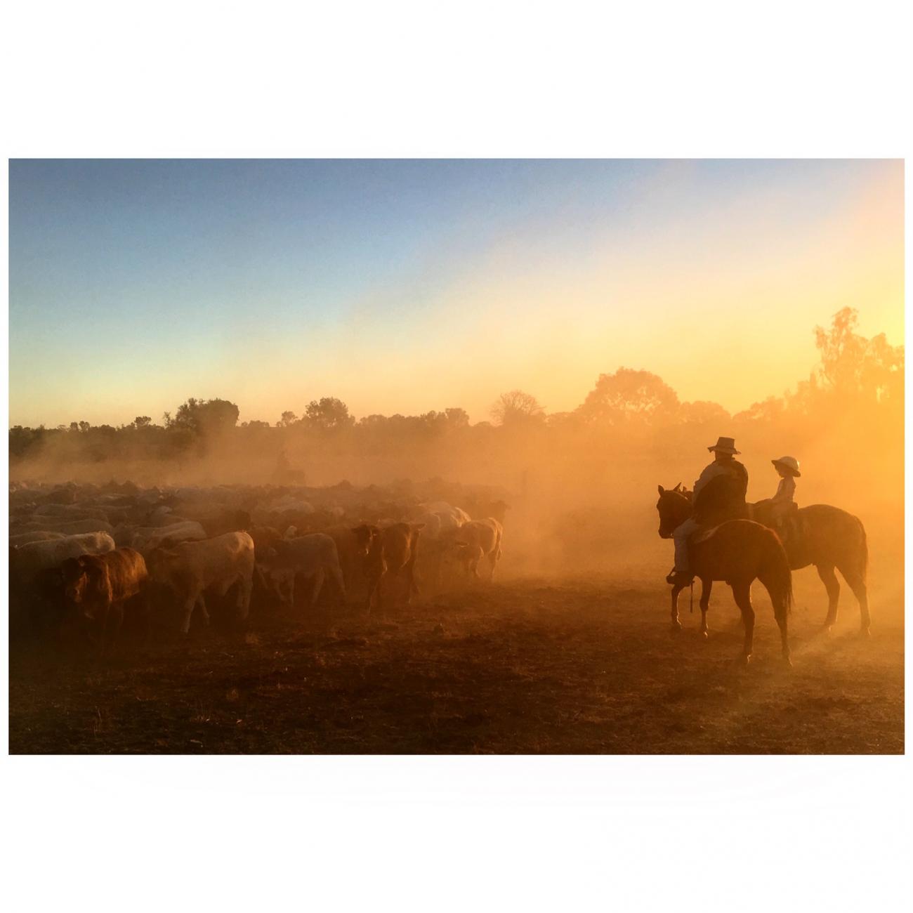 mustering in the dust