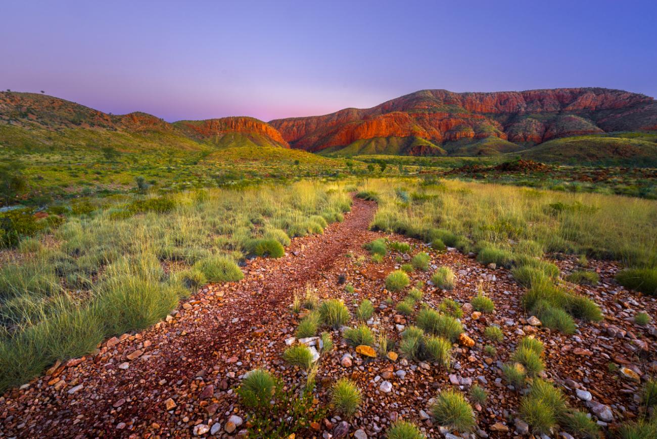 West MacDonell National Park, Central Australia shutterstock_1008730777