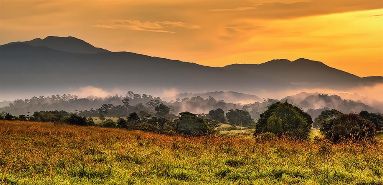 Tablelands