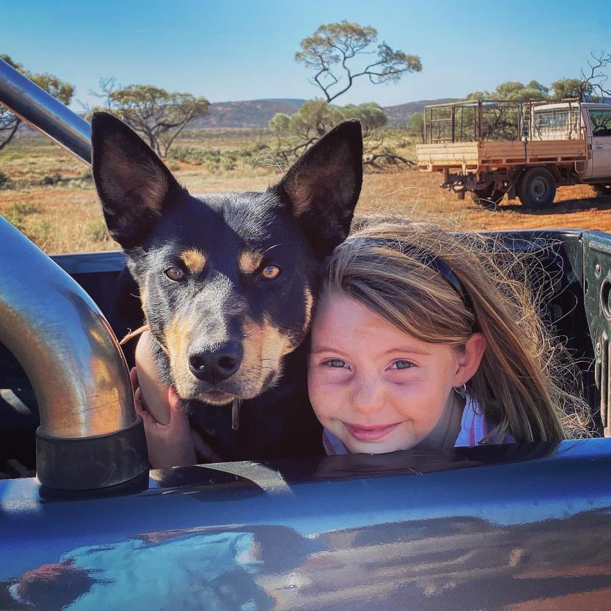 little girl with dog in ute