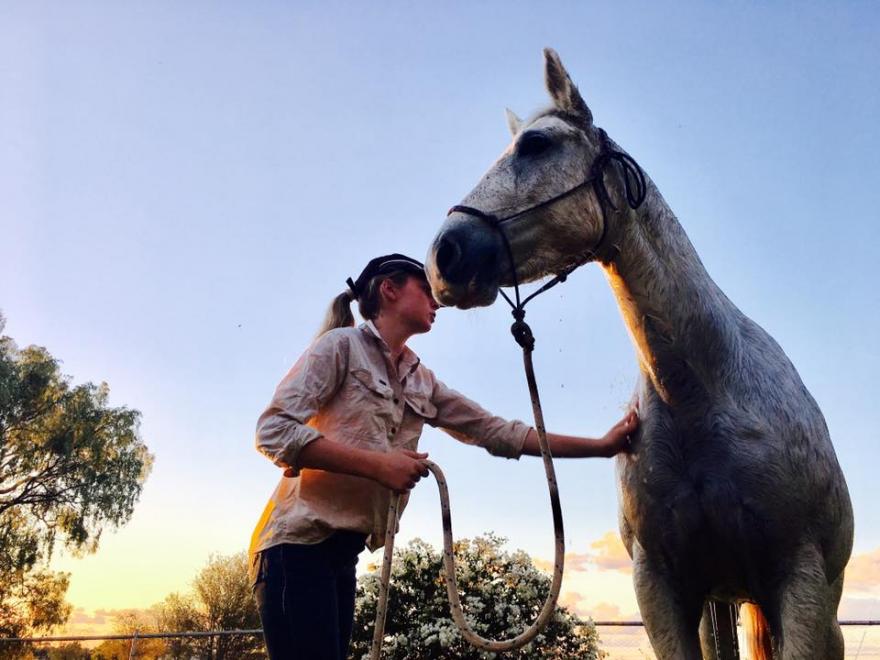 girl washing a horse