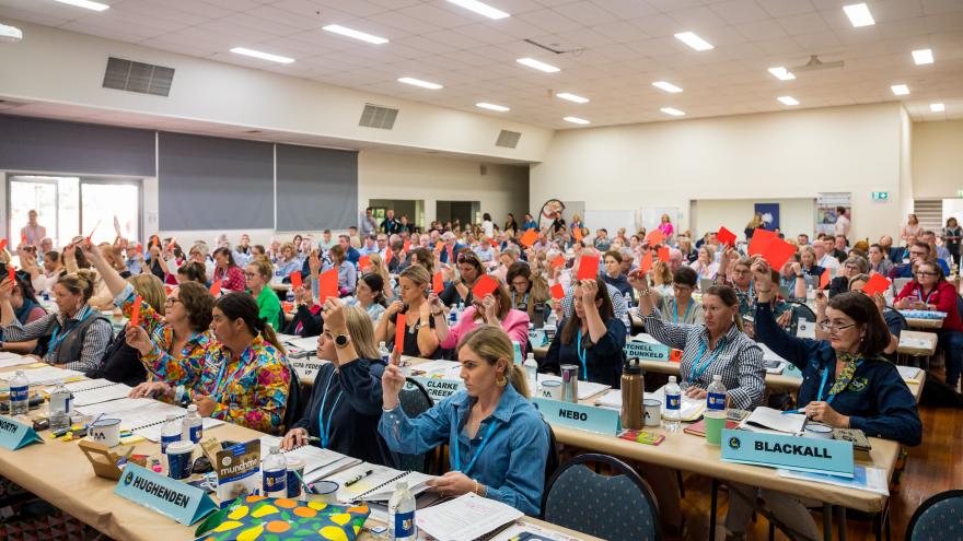 members voting on the conference floor