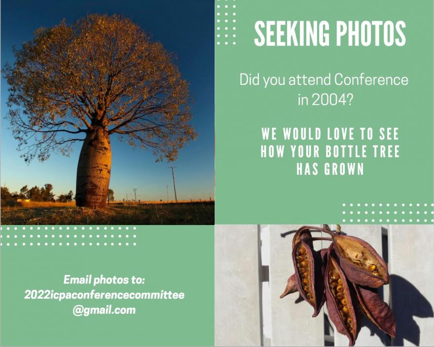 bottle tree advert