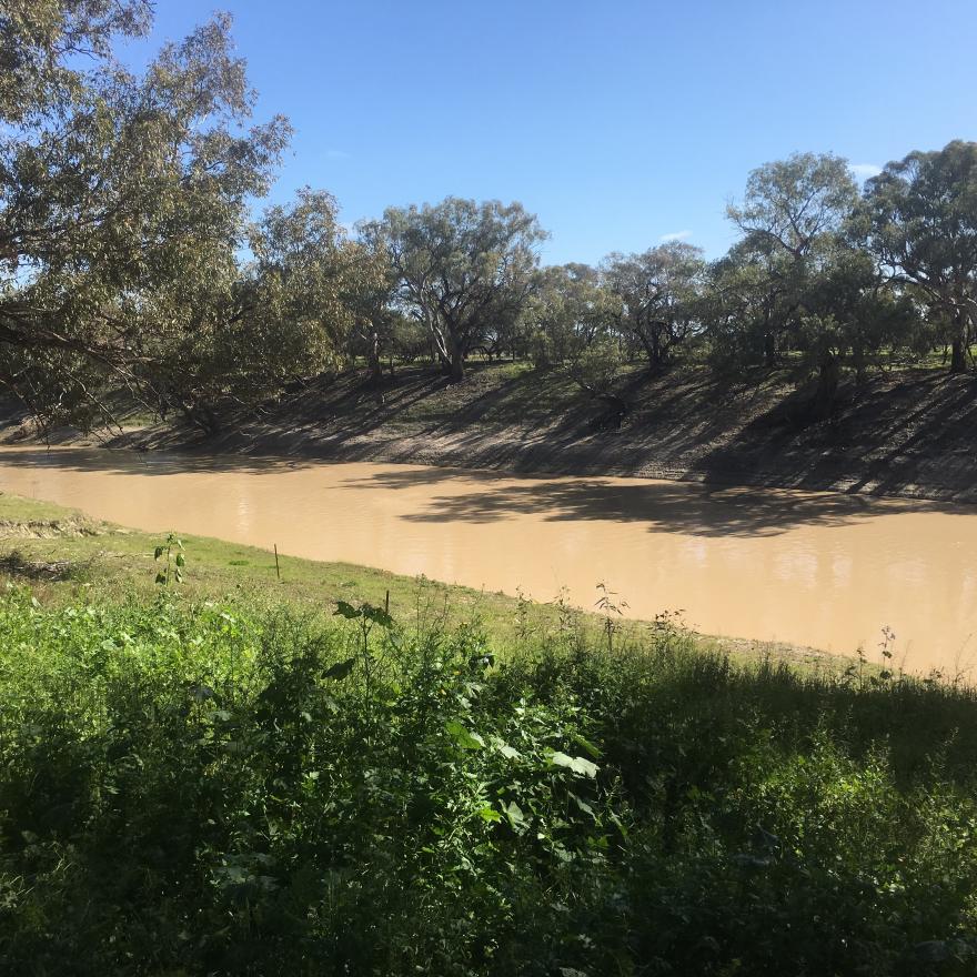 Darling River near Louth 