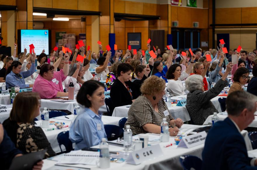 delegates voting