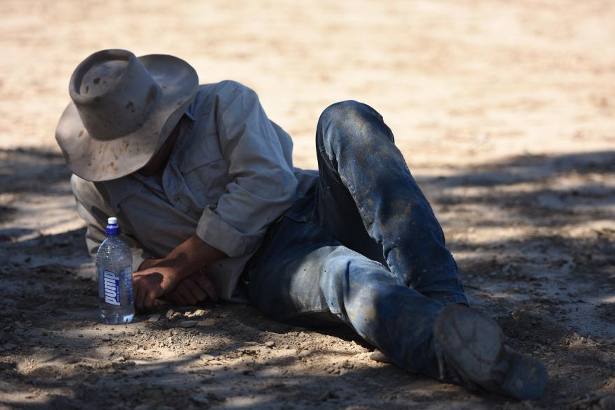 stockman lying on the ground