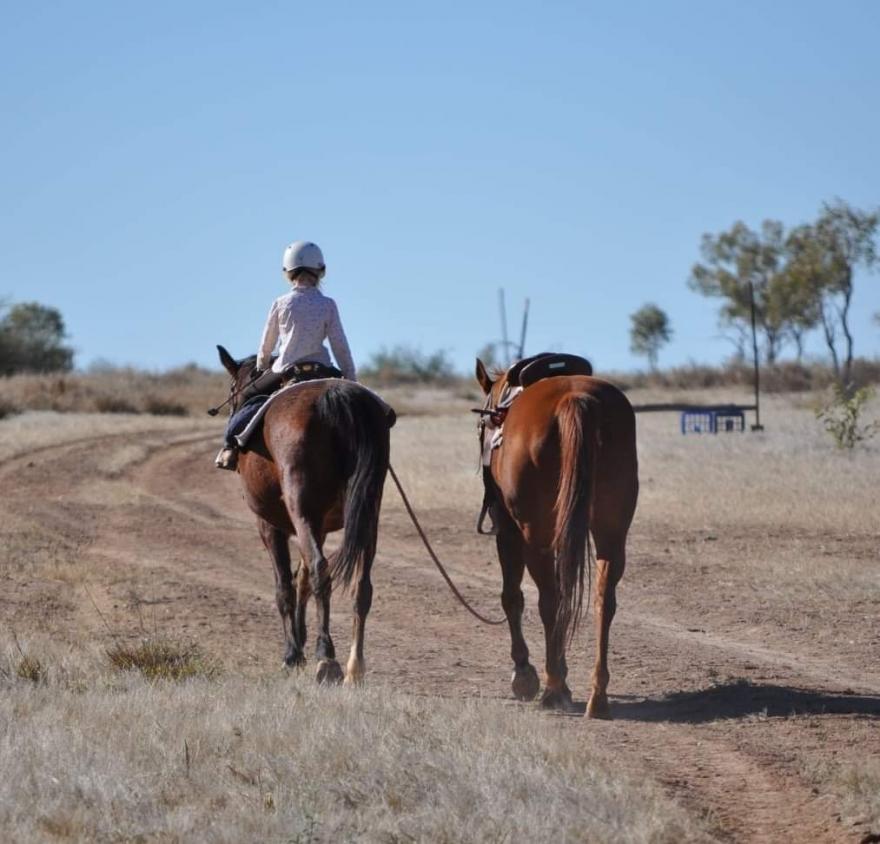 little girl on a horse