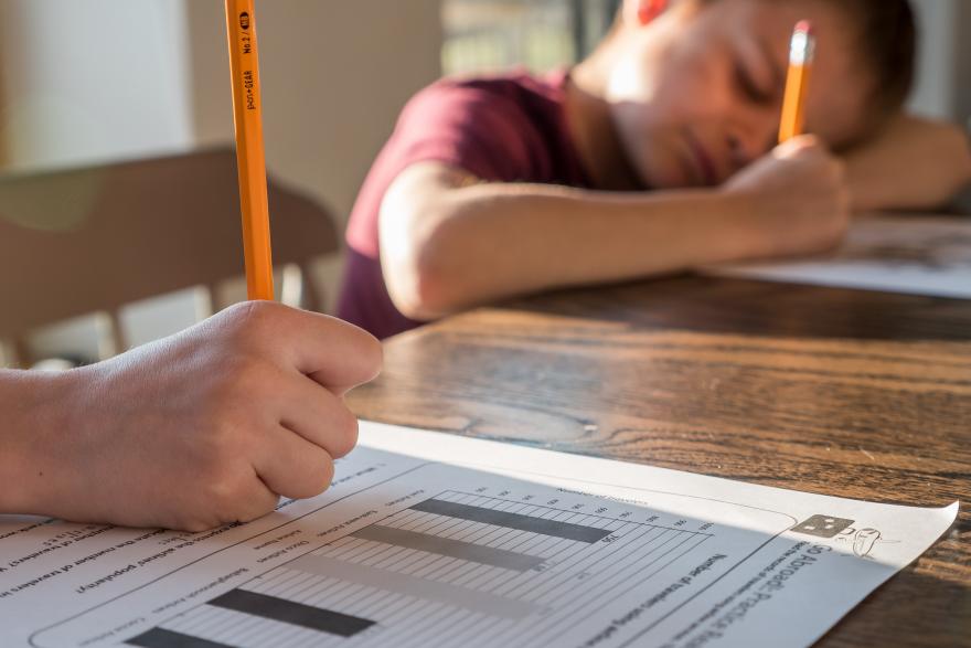 Young students studying - Photo by Jessica Lewis on Unsplash