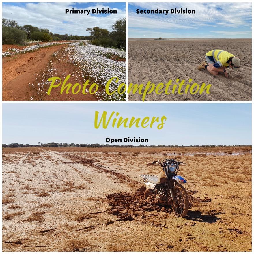 Photo Competition