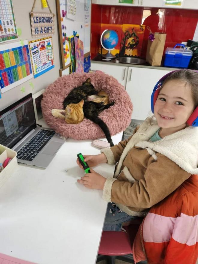 Kid at desk