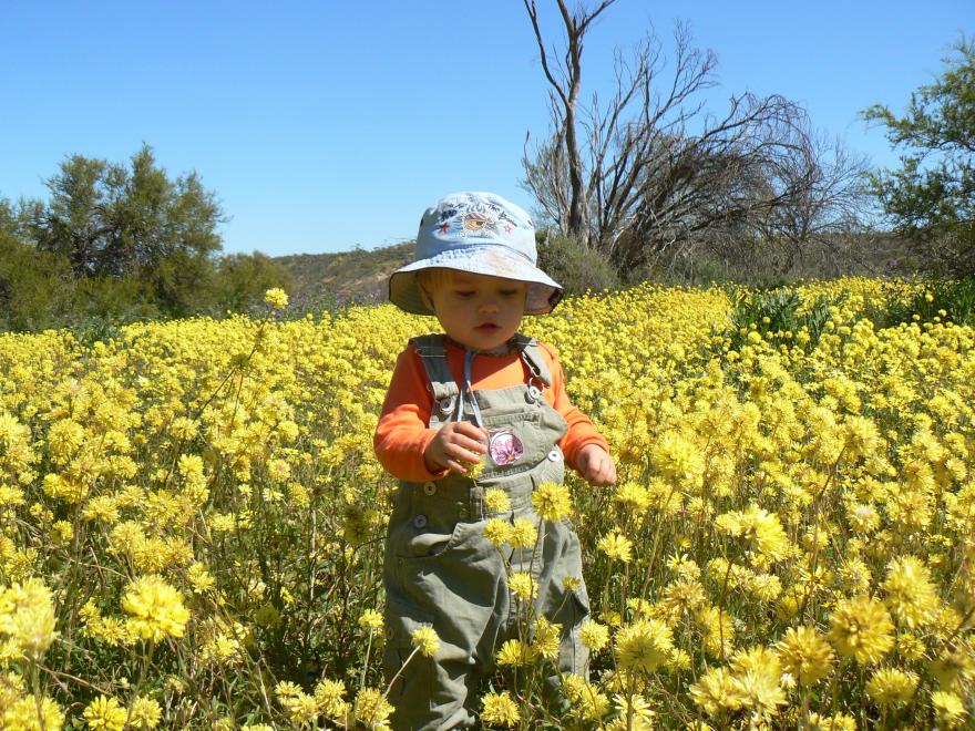 Child in flowers