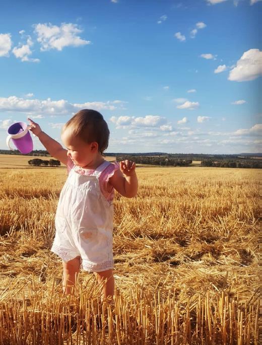 little girl in paddock