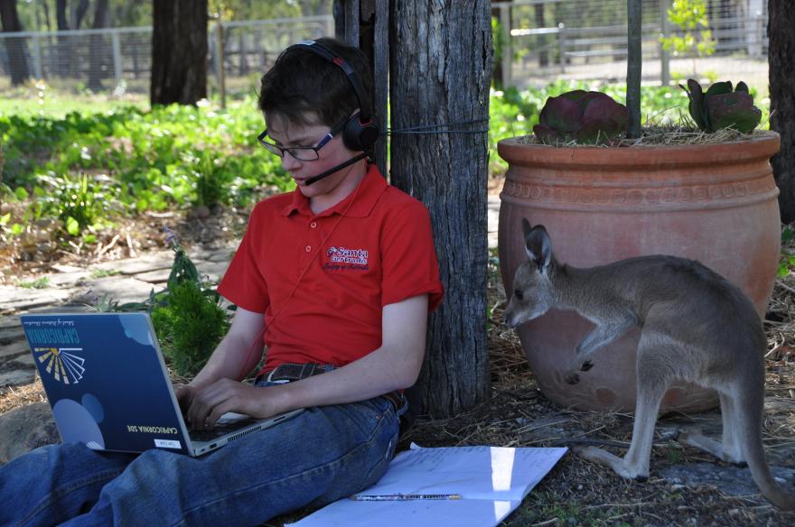 boy with wallaby