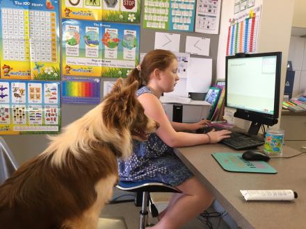 Female student studying at a computer with a dog watching