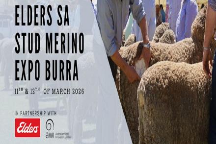  elders sa stud merino poster.JPG