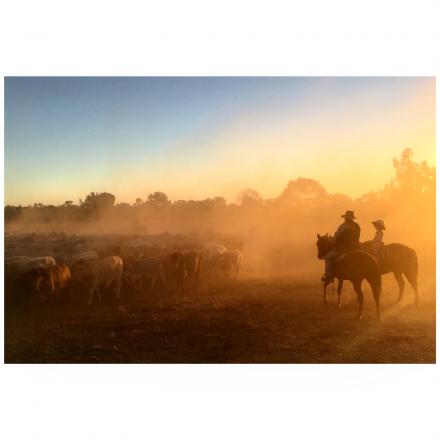 mustering in the dust