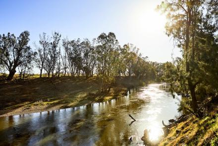 Dubbo River