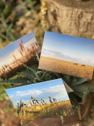Greeting Cards - Series 1