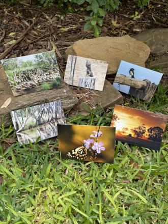 cards