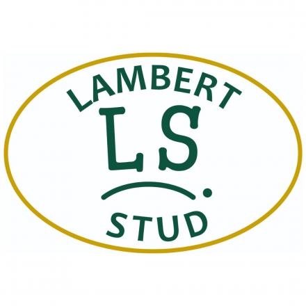 Lambert Stud logo