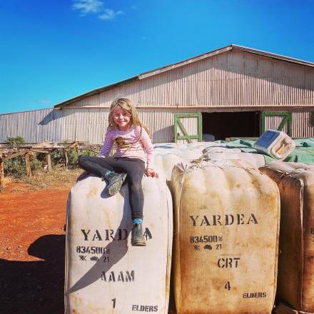 on top of wool bales