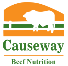 Causeway Beef