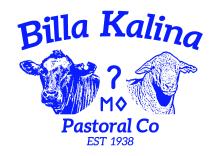Billa Kalina