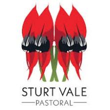 Sturt Vale Pastoral